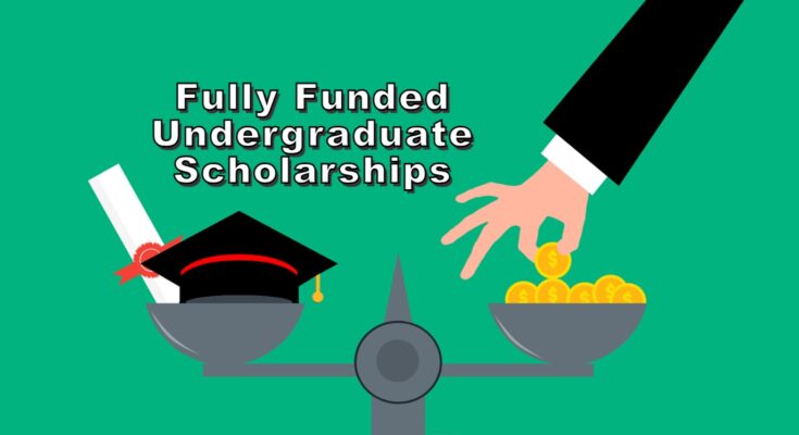 Fully Funded Undergraduate Scholarships for International Students 2024Fully Funded Undergraduate Scholarships for International Students 2024