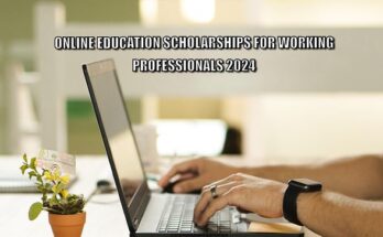 Online education scholarships for working professional